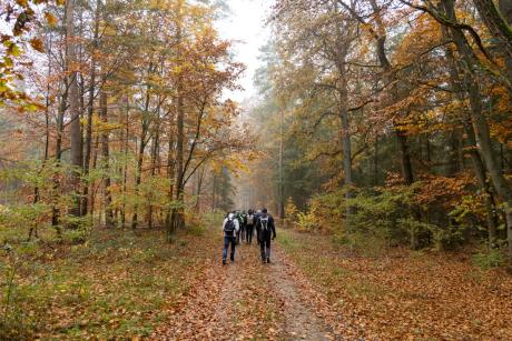 20251108-104858-TG 16 Gifhorn-1R6A9977