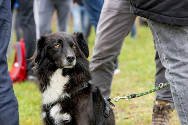 20251108-111950-TG 16 Gifhorn-1R6A0123