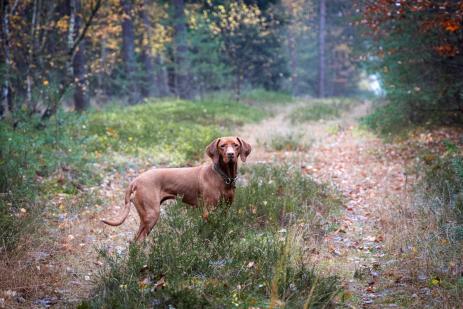 20251108-115451-TG 16 Gifhorn-1R6A0149