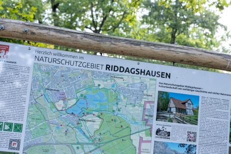 Informationsschild mit Karte zum Naturschutzgebiet Riddagshausen im Grünen